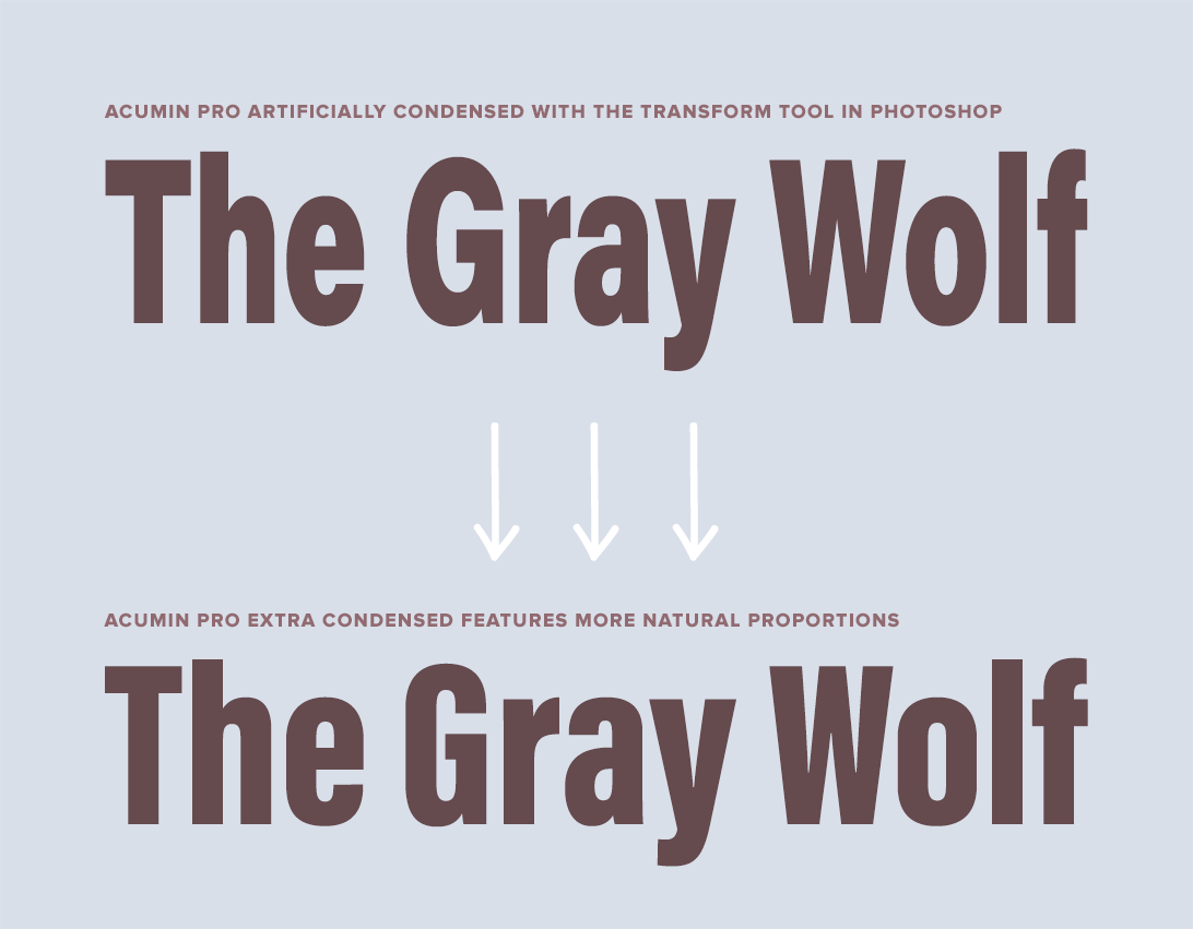 Distorted type vs non-distorted type